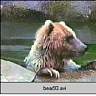 bear93.ram