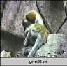 grivet93.ram