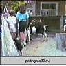 pettingzoo93.ram