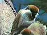 picture_16.jpg