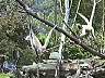 picture_51.jpg