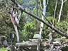 picture_52.jpg
