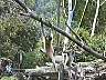 picture_53.jpg