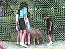 picture_56.jpg