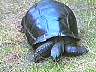picture_65.jpg