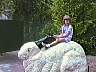 picture_72.jpg