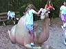 picture_73.jpg