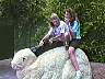 picture_76.jpg