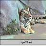tiger93.ram